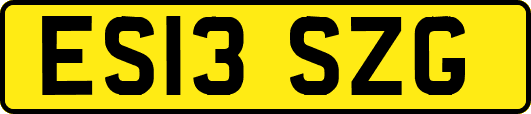 ES13SZG