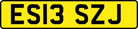 ES13SZJ
