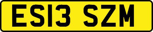 ES13SZM