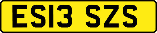 ES13SZS