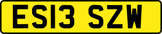 ES13SZW