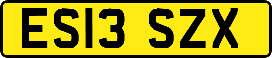 ES13SZX