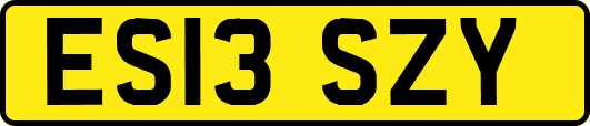 ES13SZY