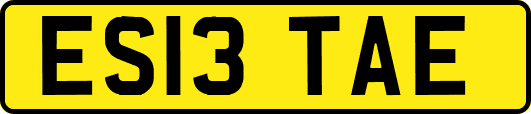 ES13TAE