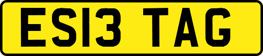 ES13TAG