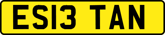 ES13TAN