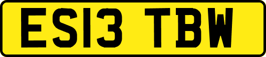 ES13TBW