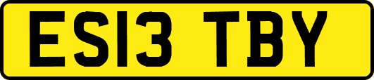ES13TBY