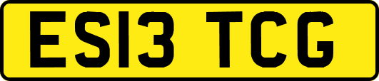 ES13TCG