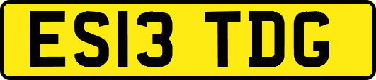 ES13TDG