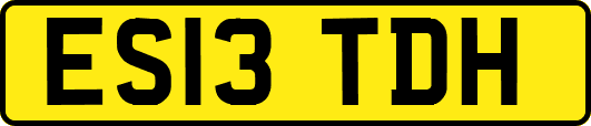 ES13TDH