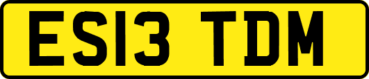 ES13TDM