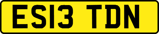 ES13TDN