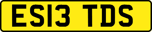 ES13TDS