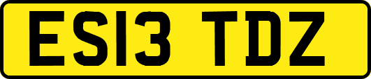 ES13TDZ
