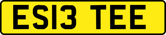 ES13TEE