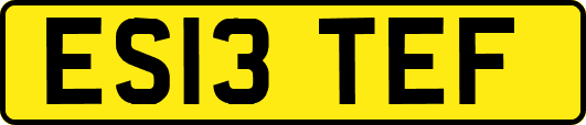 ES13TEF
