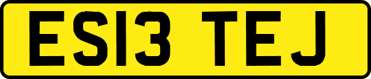 ES13TEJ
