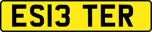 ES13TER