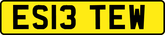 ES13TEW