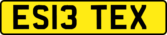 ES13TEX
