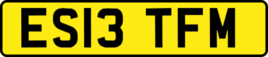 ES13TFM