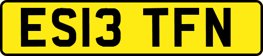 ES13TFN