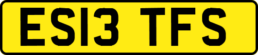 ES13TFS