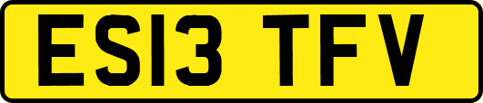 ES13TFV