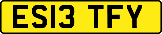 ES13TFY