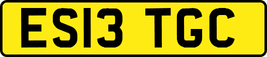ES13TGC