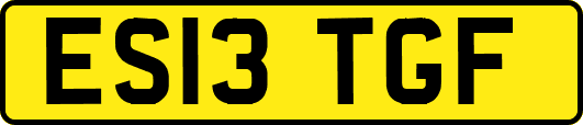 ES13TGF