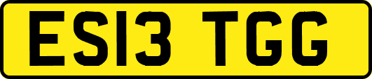 ES13TGG