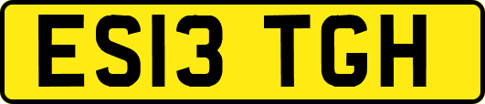 ES13TGH