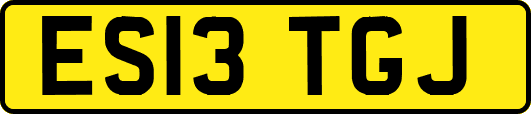 ES13TGJ