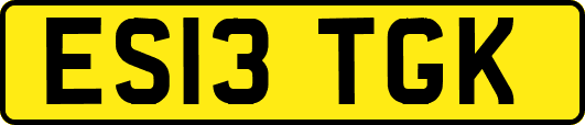 ES13TGK