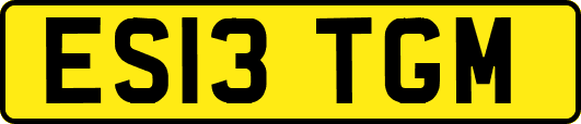 ES13TGM