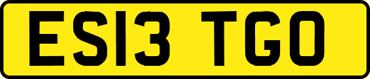 ES13TGO