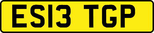 ES13TGP