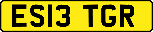 ES13TGR