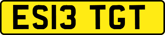 ES13TGT