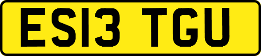 ES13TGU
