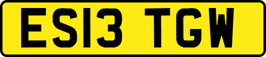 ES13TGW