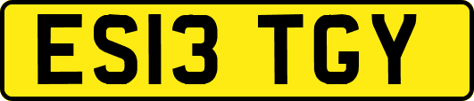 ES13TGY