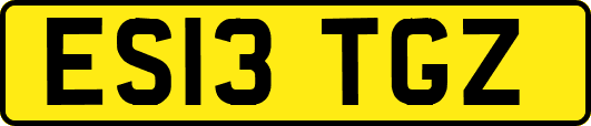 ES13TGZ