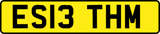 ES13THM