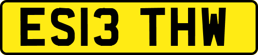 ES13THW