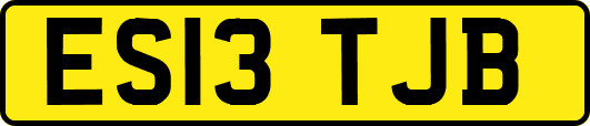 ES13TJB