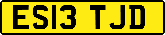 ES13TJD