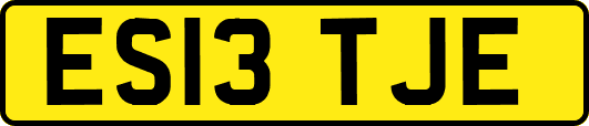 ES13TJE